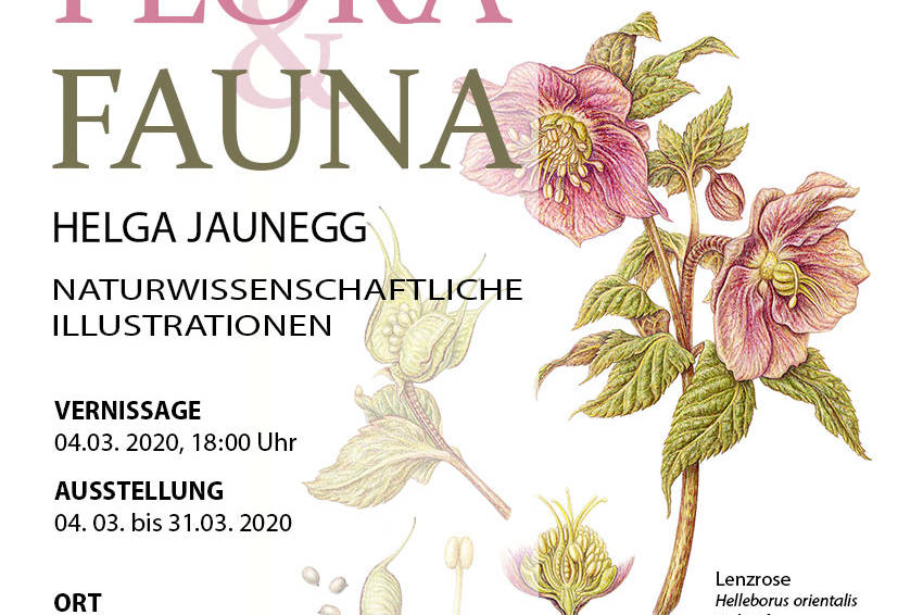 Vernissage Flora und Fauna - Helga Jaunegg
