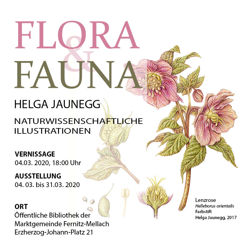 Vernissage Flora und Fauna - Helga Jaunegg