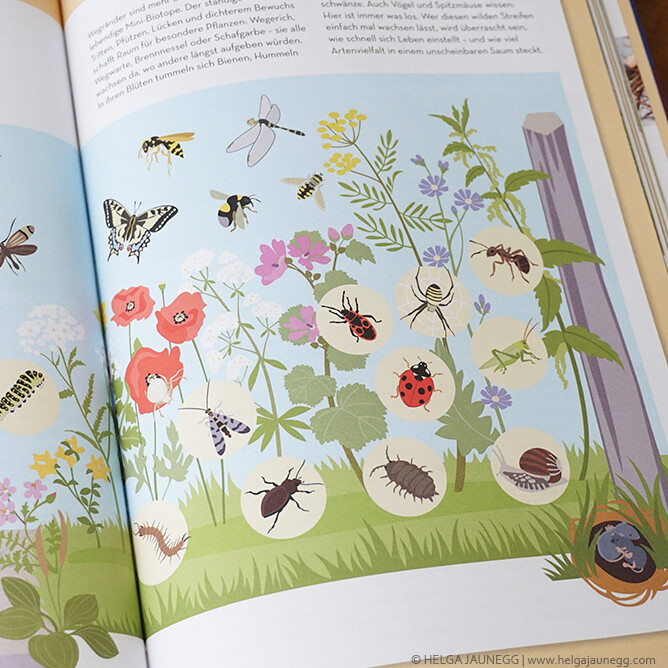 Tiere und Insekten im Wegessaum